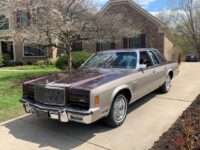 1981